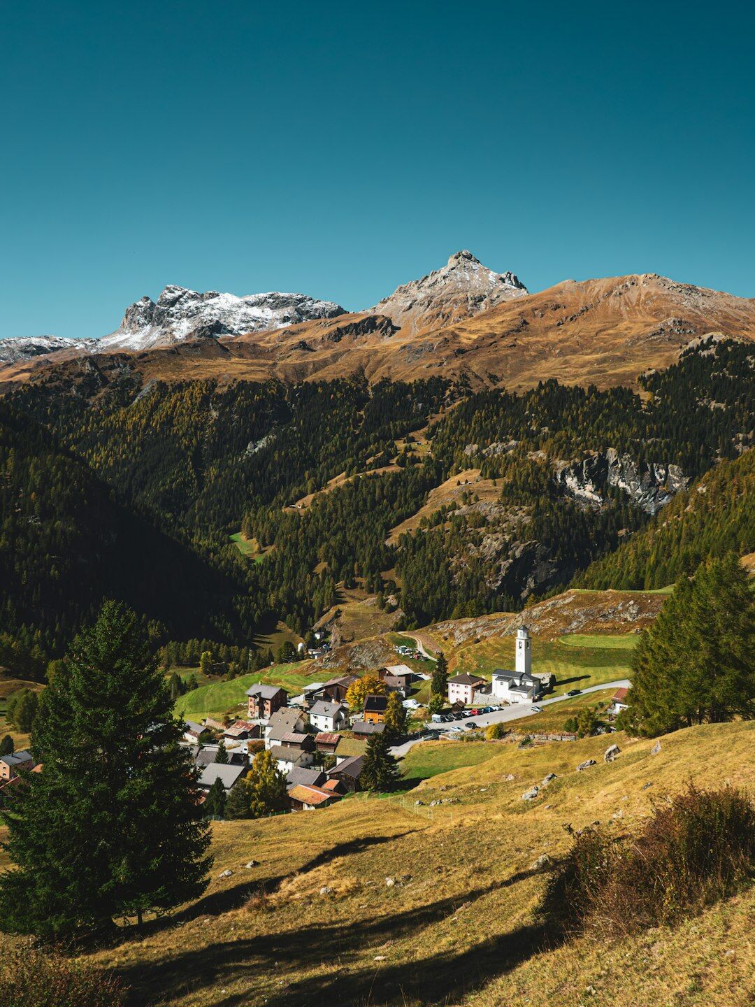 Group of seniors hiking in the Swiss countryside